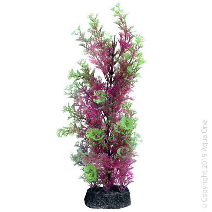 Aqua One Ecoscape Large Cabomba Pink