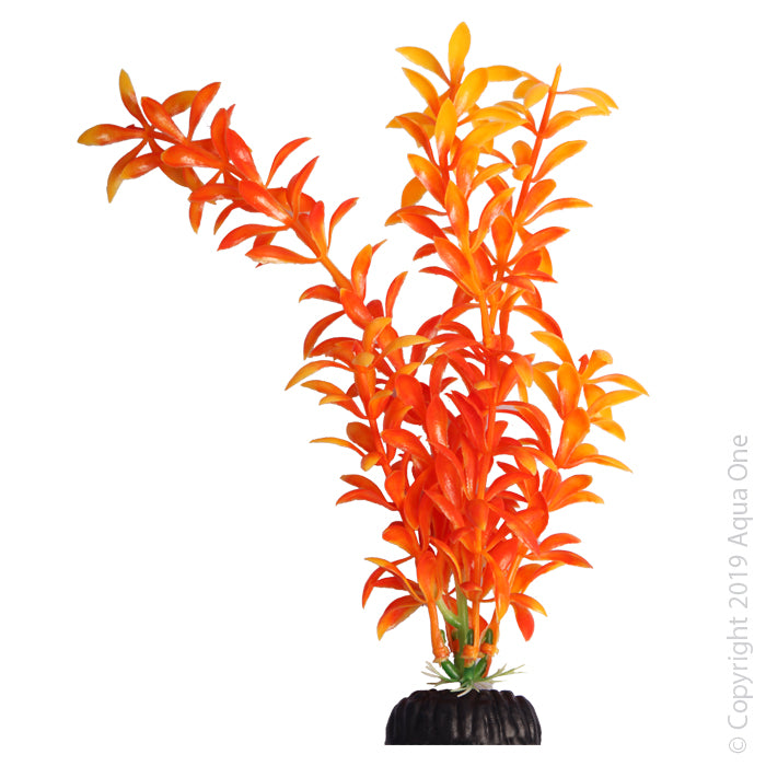 Aqua One Brightscape Medium Ludwigia Orange