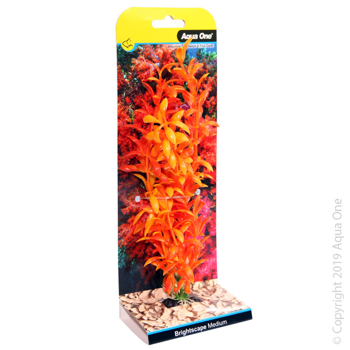 Aqua One Brightscape Medium Ludwigia Orange