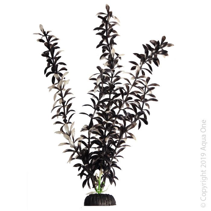 Aqua One Brightscape Large Ludwigia Black