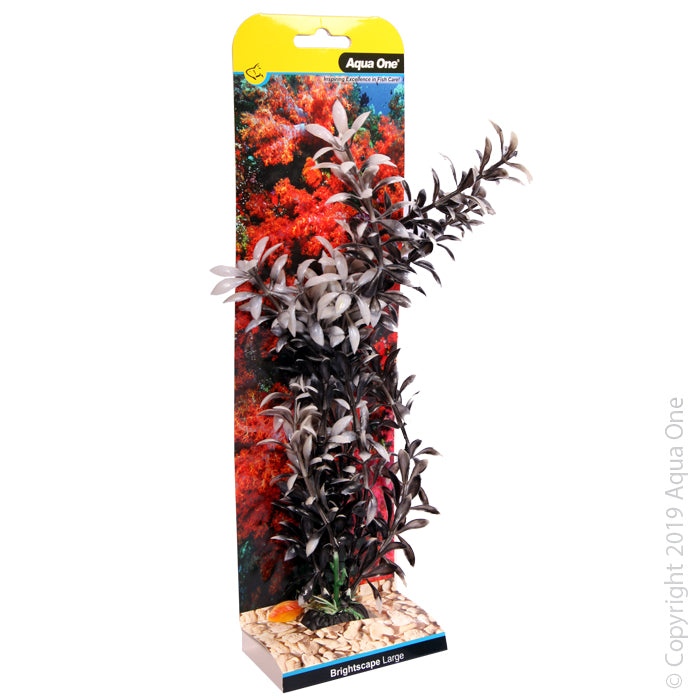 Aqua One Brightscape Large Ludwigia Black