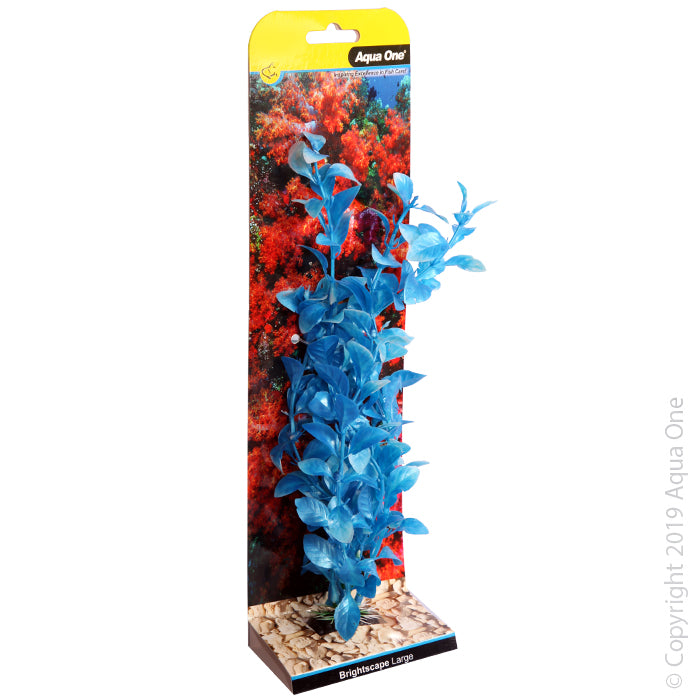 Aqua One Brightscape Large Hygro Blue