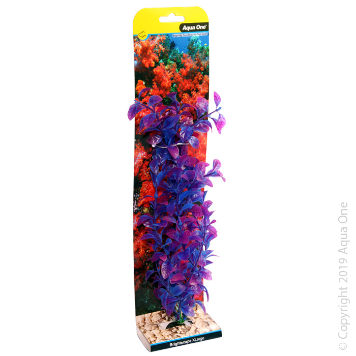 Aqua One Brightscape XL Hygro Purple