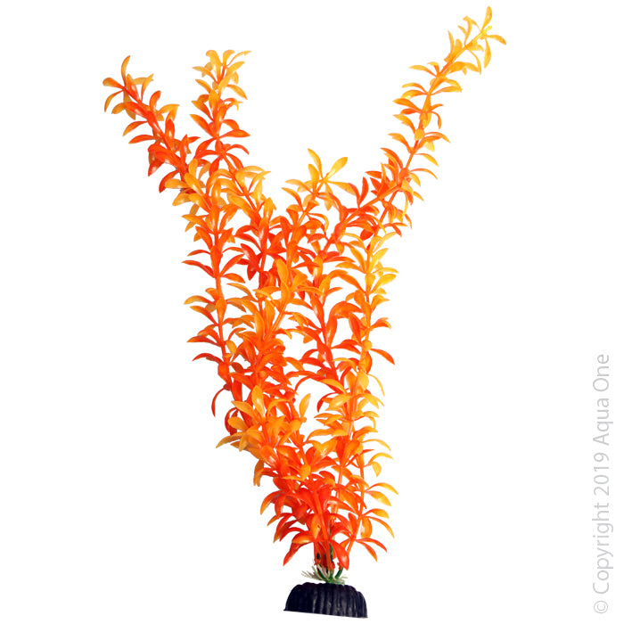 Aqua One Brightscape XL Ludwigia Orange