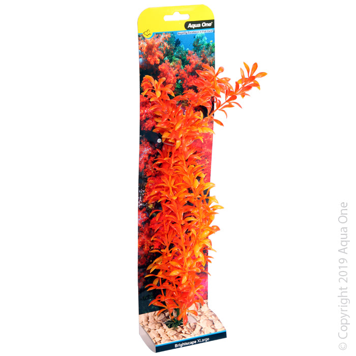 Aqua One Brightscape XL Ludwigia Orange