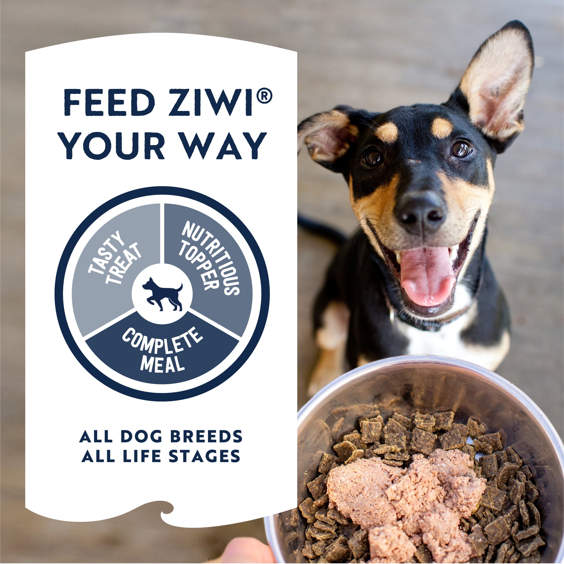 Ziwi Dog Beef Can