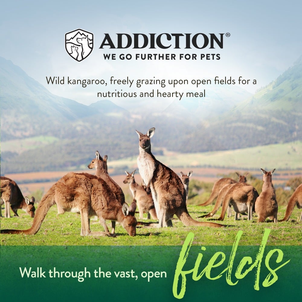 Addiction Wild Kangaroo and Apples