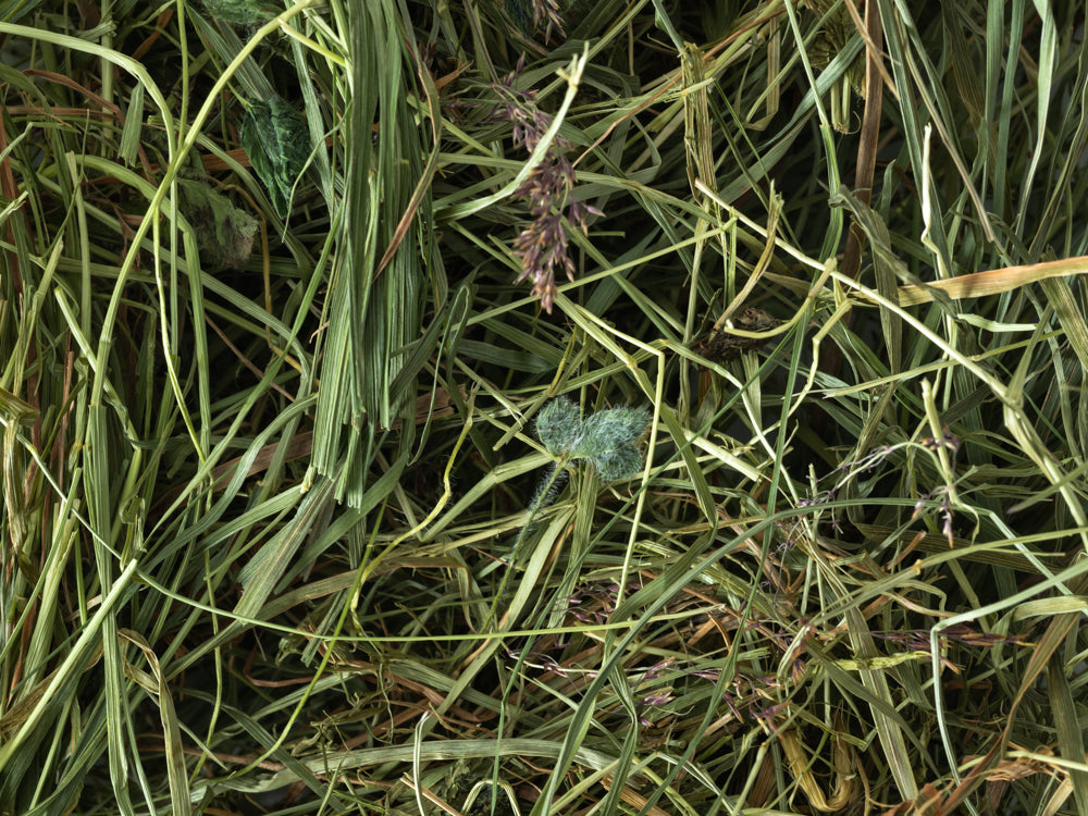 Topflite Meadow Hay 80L