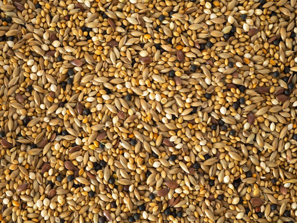 Topflite Finch Mix