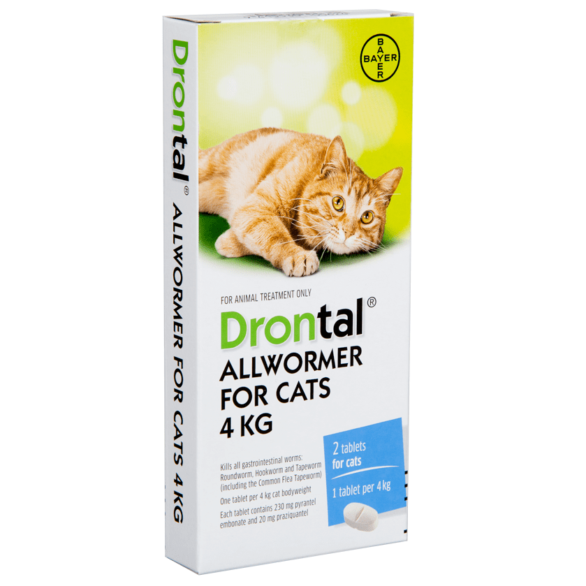 Drontal All Wormer Cat