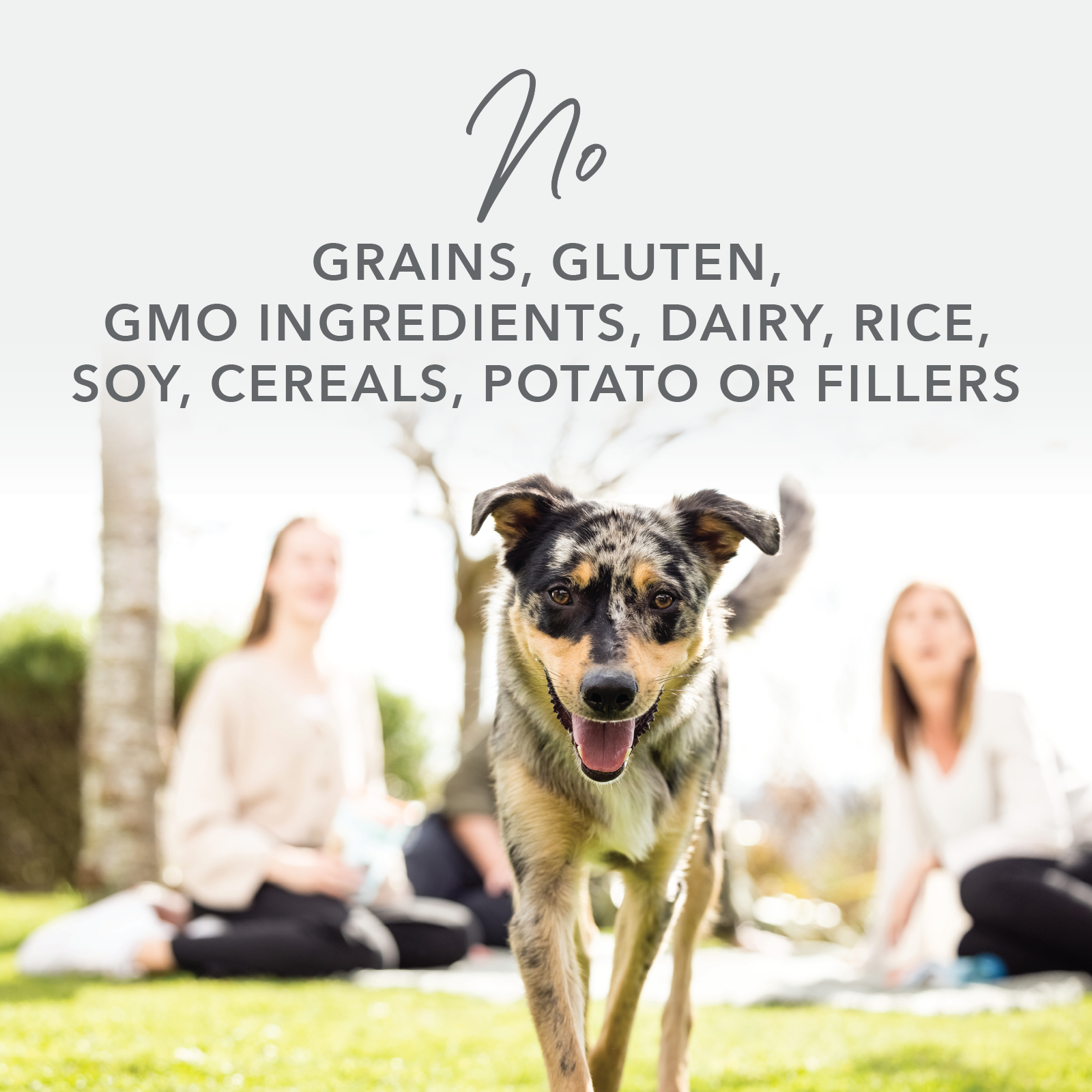 K9 Natural Chicken Feast Freeze Dried