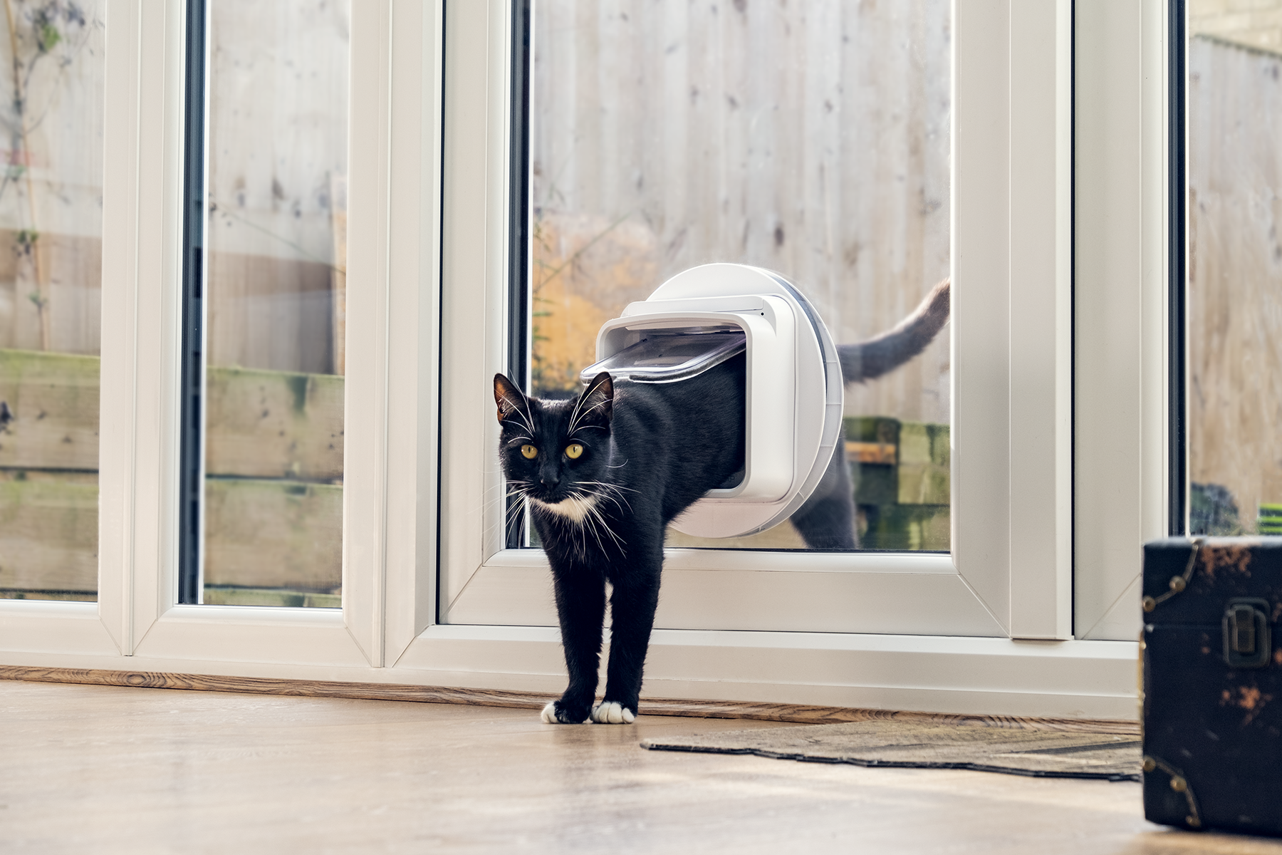 SureFlap Microchip Cat Door Connect