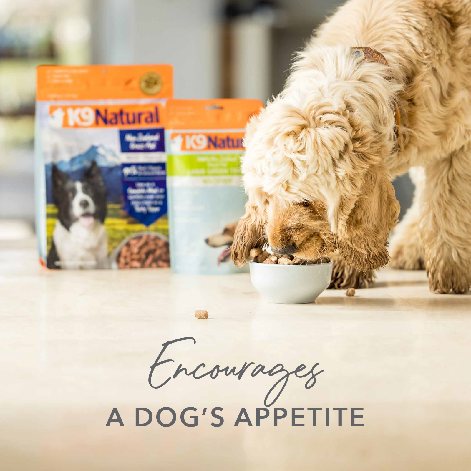 K9 Natural Chicken Feast Freeze Dried