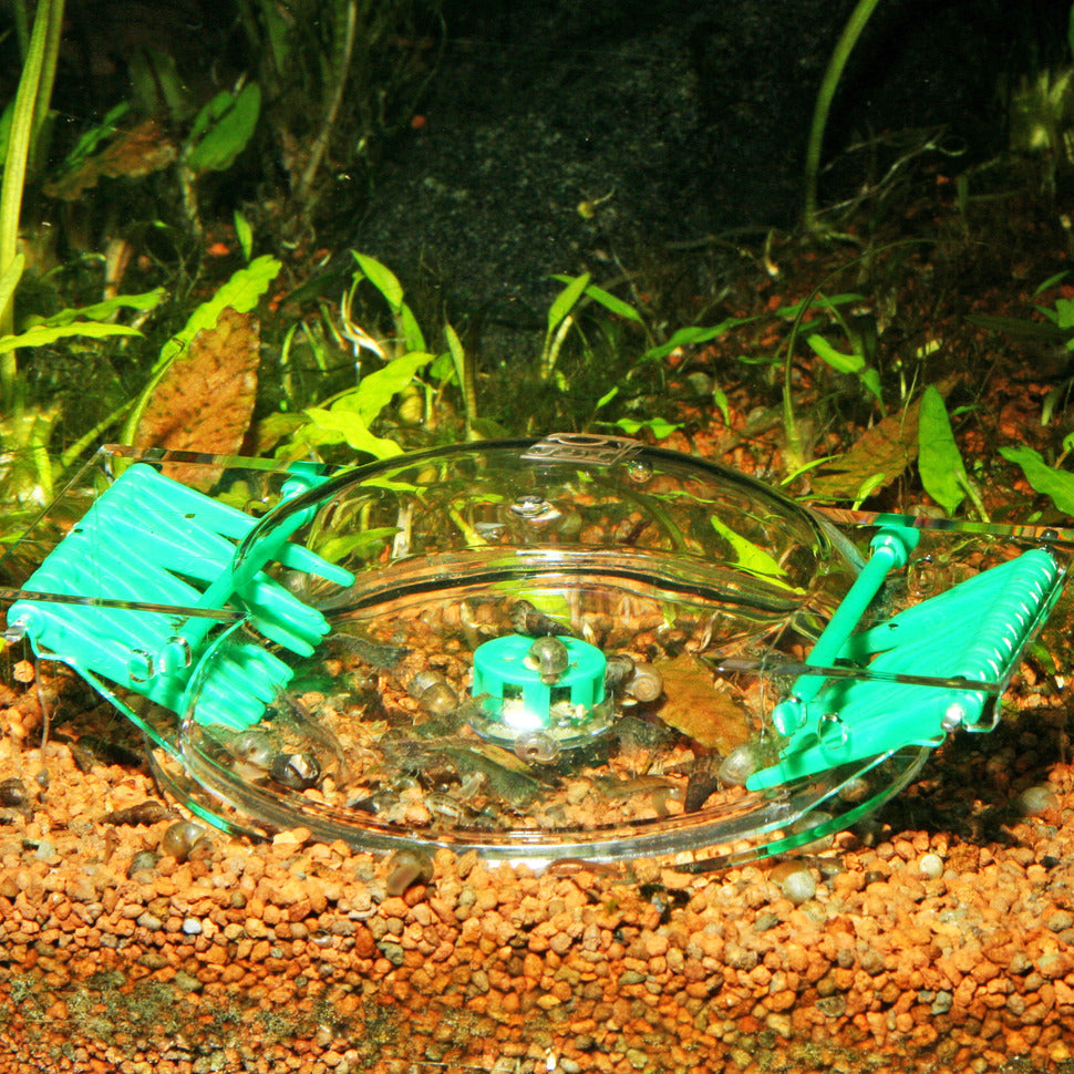 JBL Snail Trap