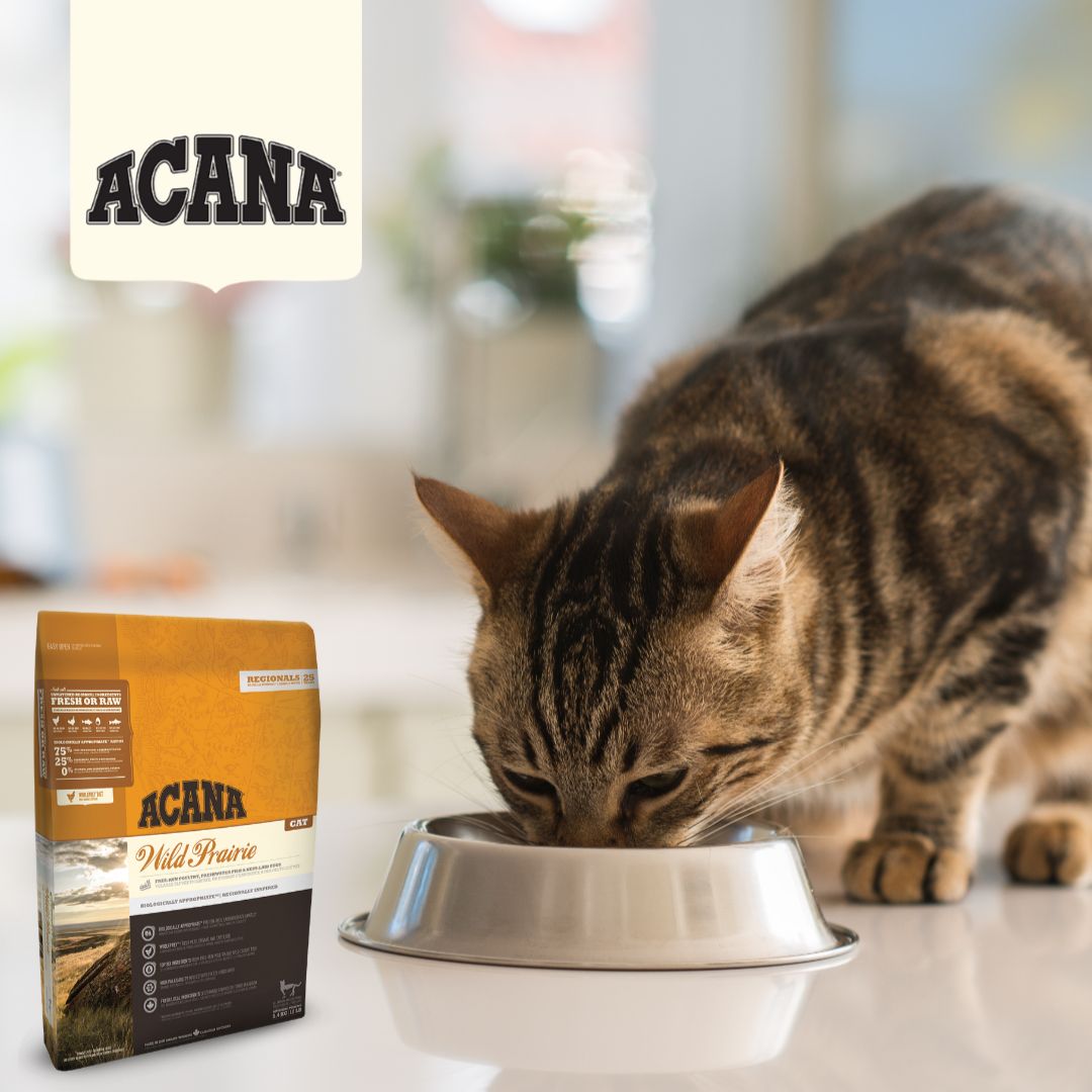 Acana Cat Wild Prairie