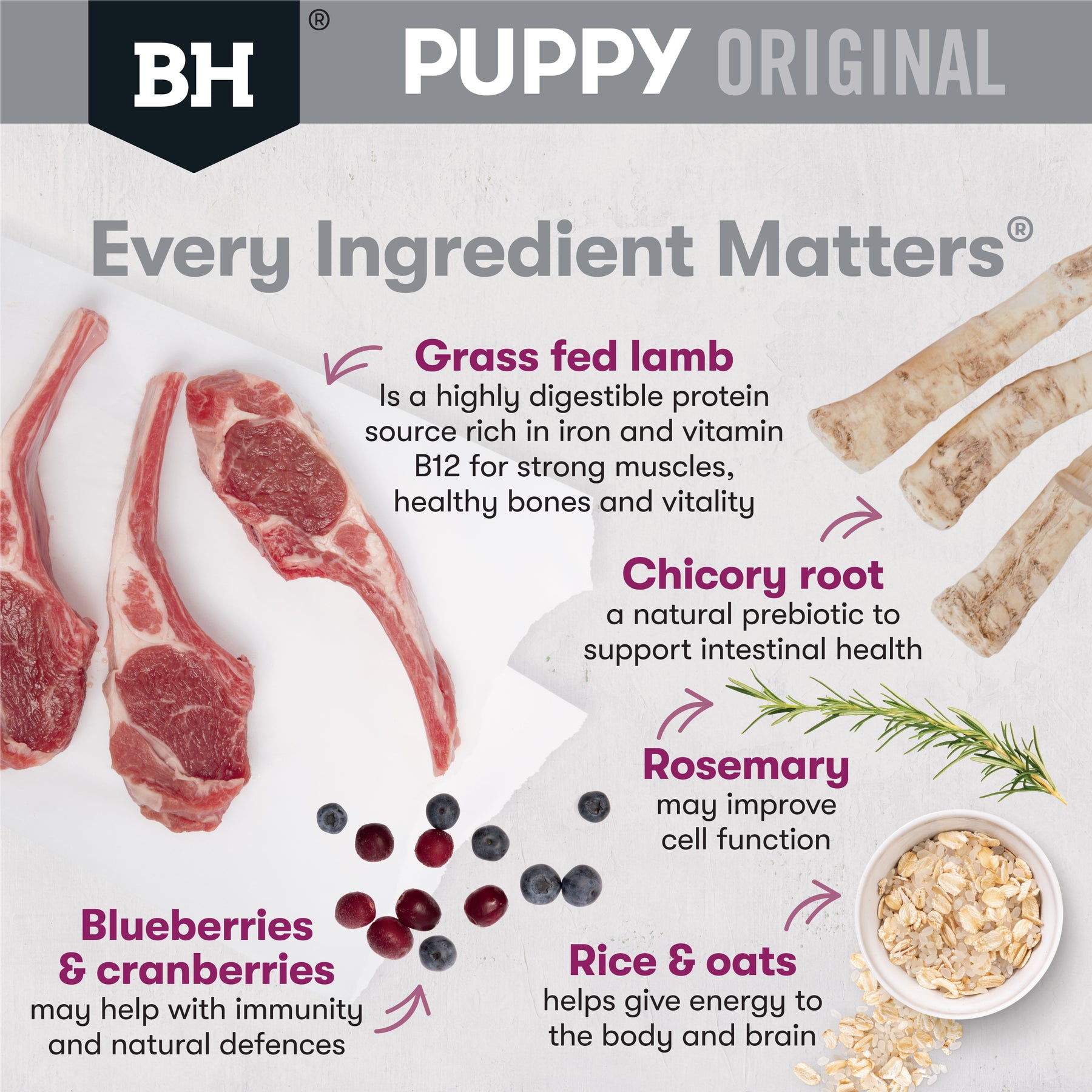 Black Hawk Medium Breed Puppy Lamb & Rice