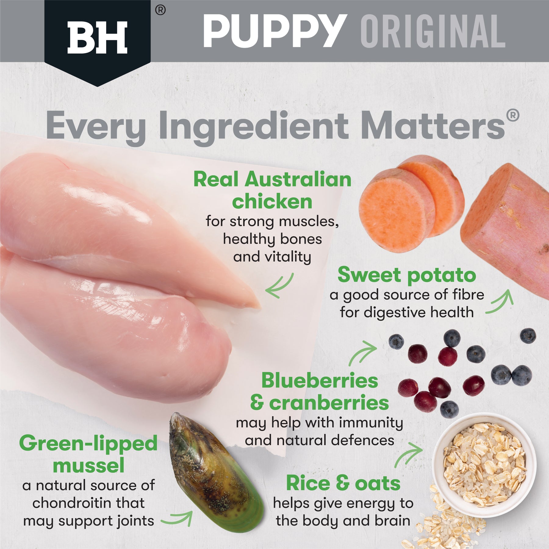 Black Hawk Large Breed Puppy Chicken & Rice