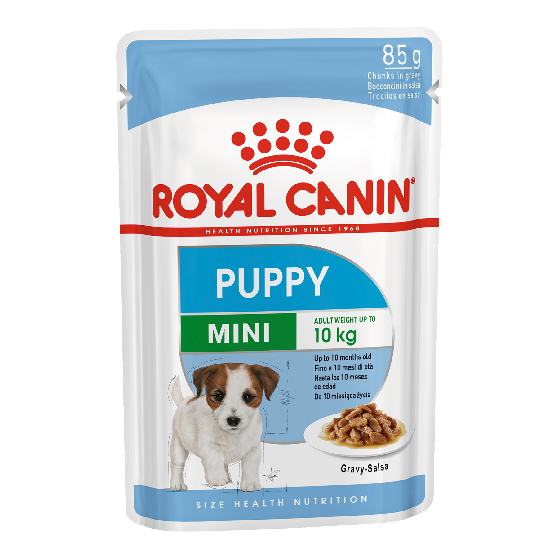 Royal Canin SHN Mini Puppy Box/12
