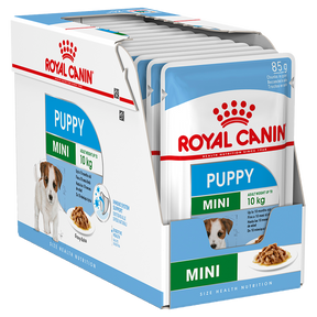 Royal Canin SHN Mini Puppy Box/12