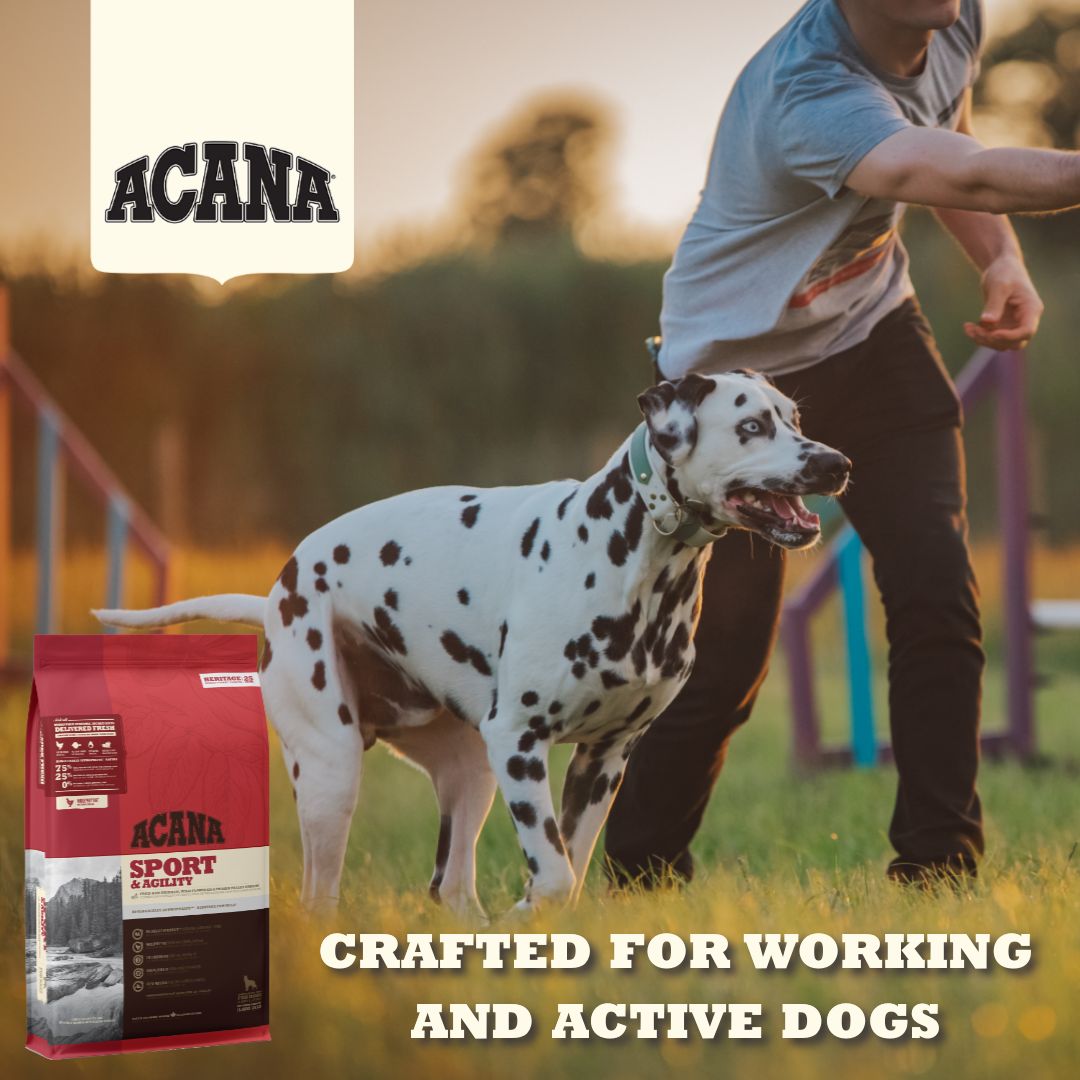 Acana Sport and Agility