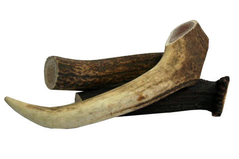 Deer Antler