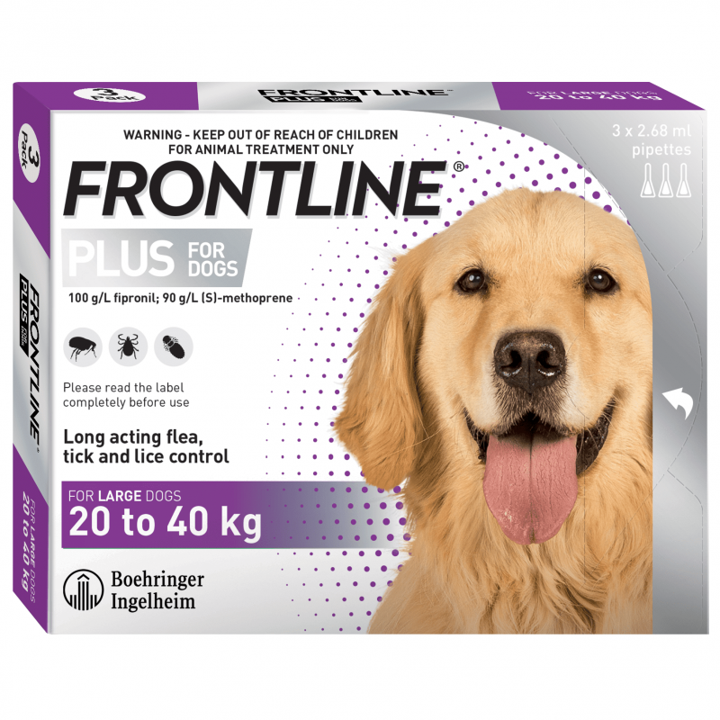 Frontline Dog