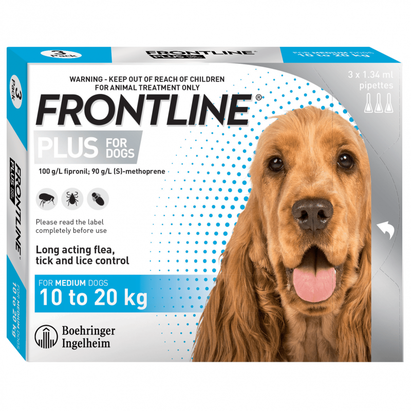 Frontline Dog