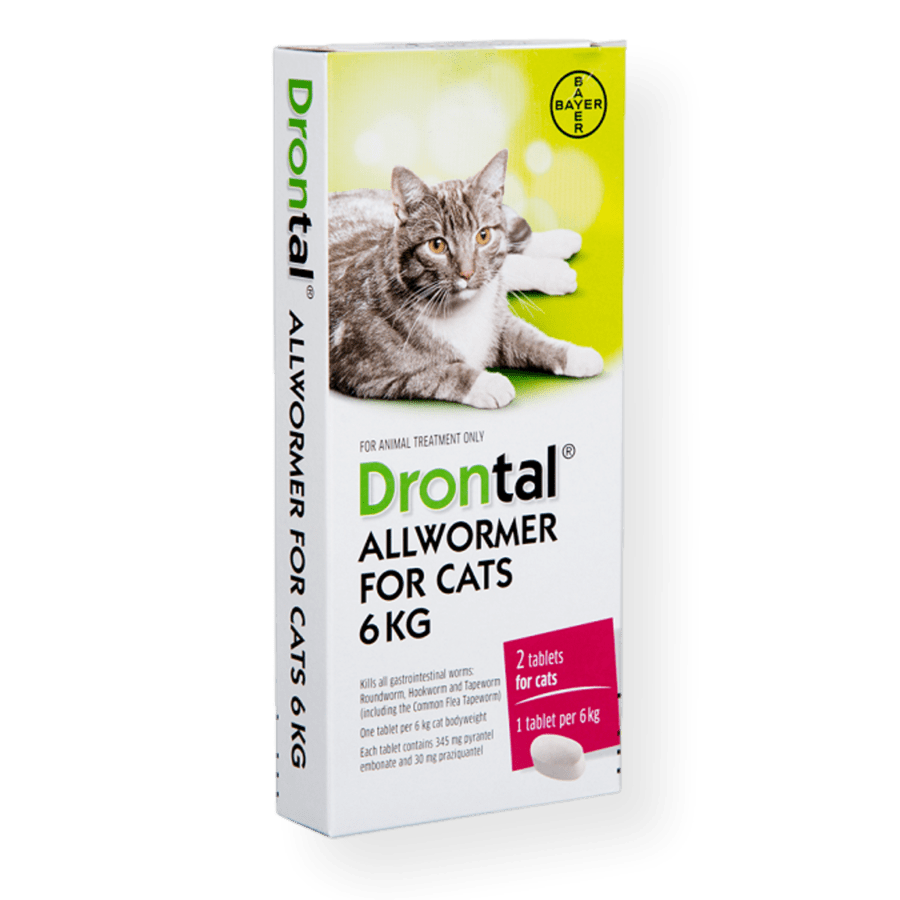 Drontal All Wormer Cat