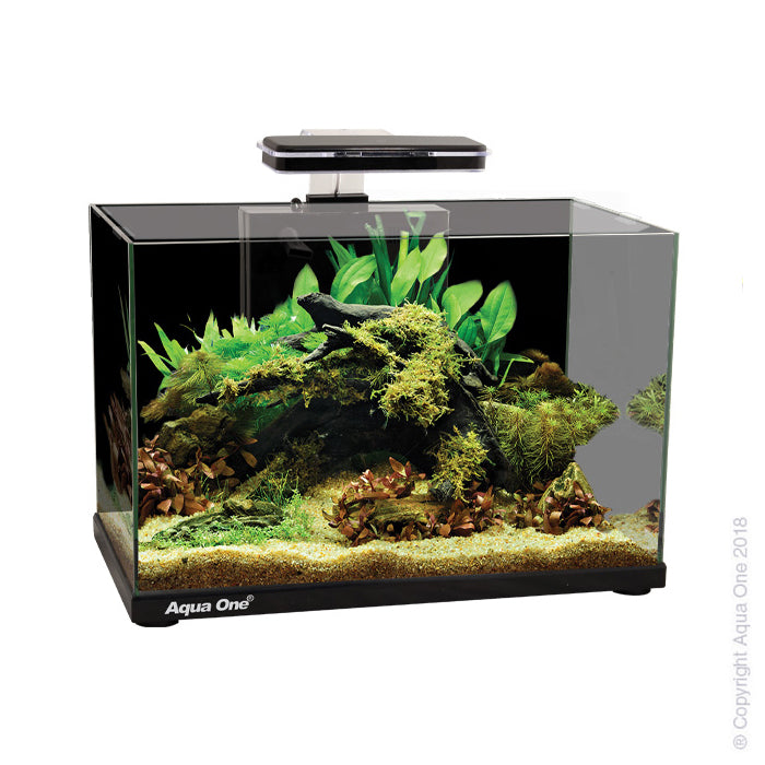 Aqua One Focus Aquarium