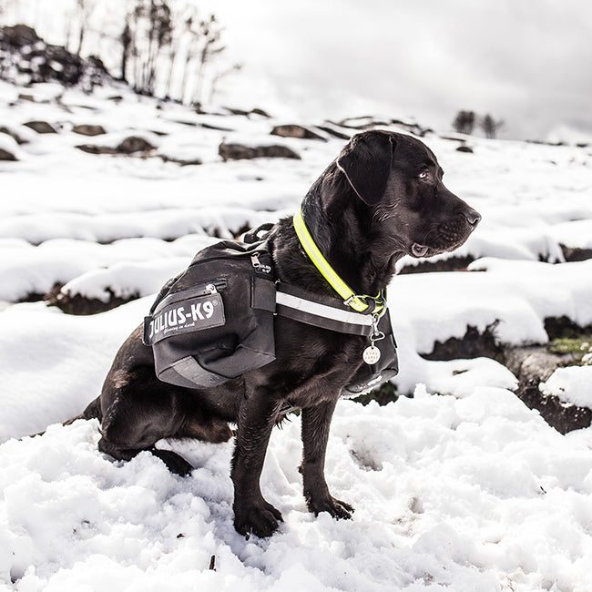 Julius K9 Backpack Sidebag Pair