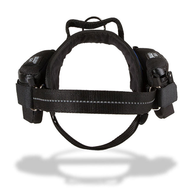 Julius k9 Sidebag Pair