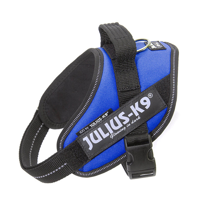 Julius K9 Harness