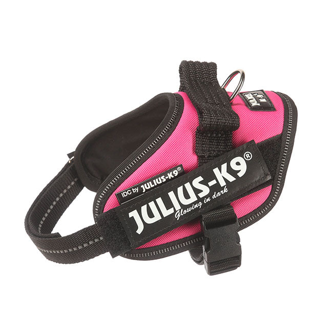 Julius K9 Harness