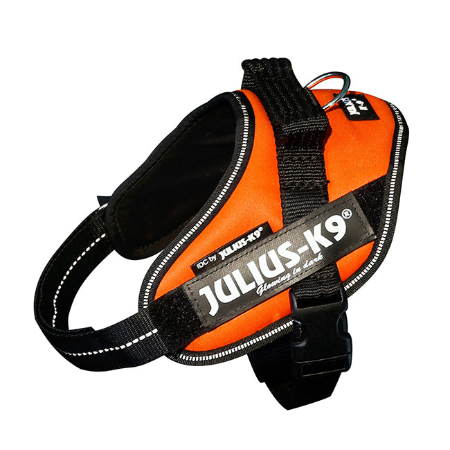 Julius K9 Harness