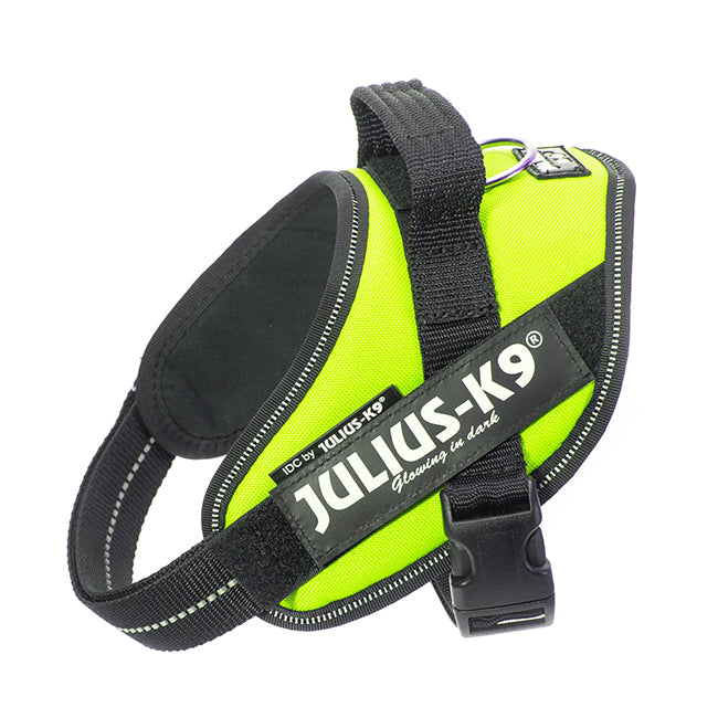 Julius K9 Harness