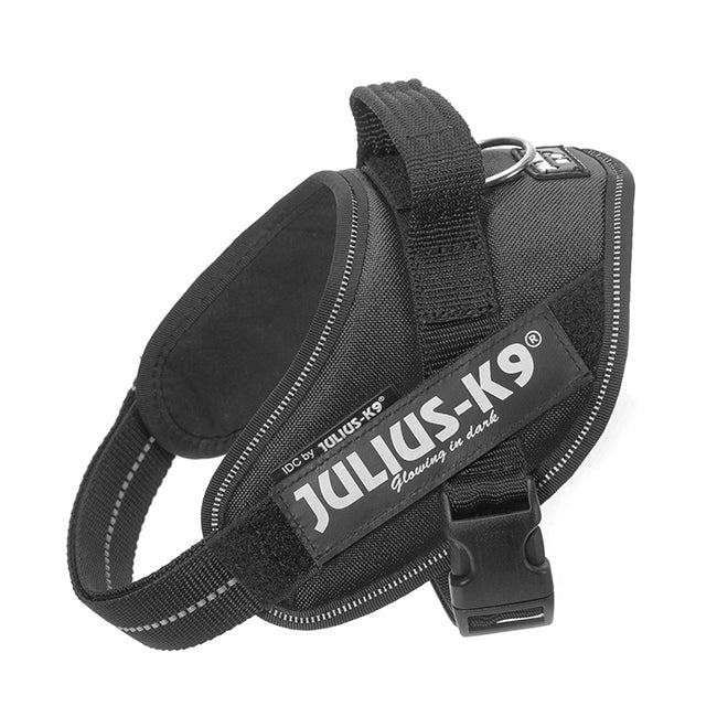 Julius K9 Harness