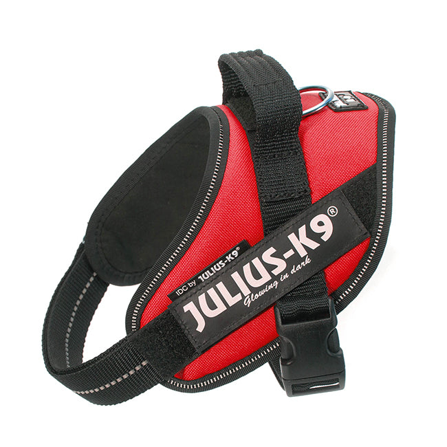 Julius K9 Harness