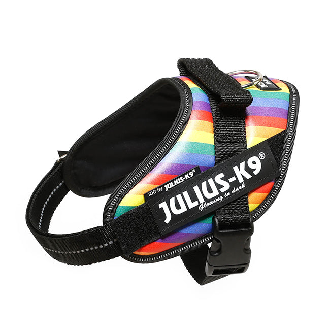 Julius K9 Harness