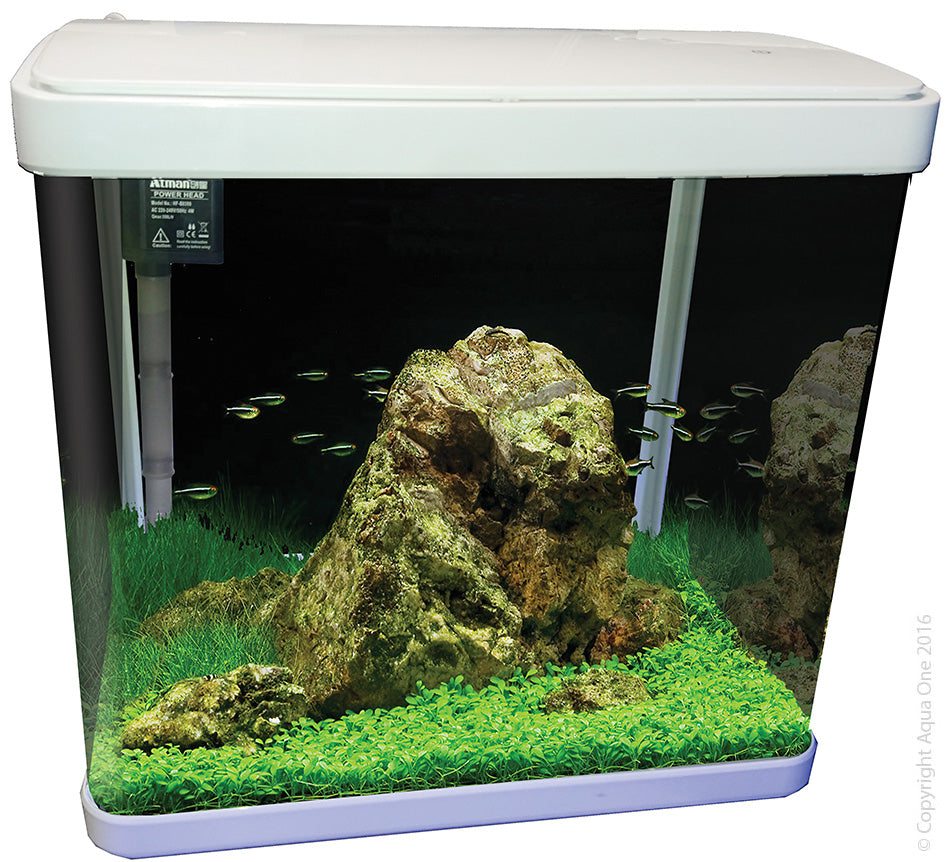 Aqua One Lifestyle 29 Tank