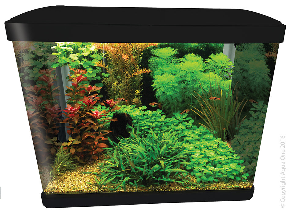 Aqua One Lifestyle 52 Tank