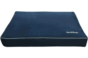 Red Dingo Mattress