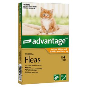 Advantage Small Cat and Kitten Under 4kg