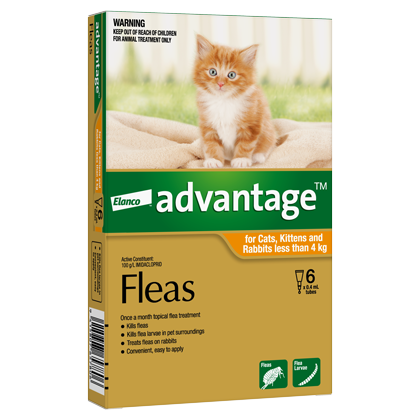 Advantage Small Cat and Kitten Under 4kg