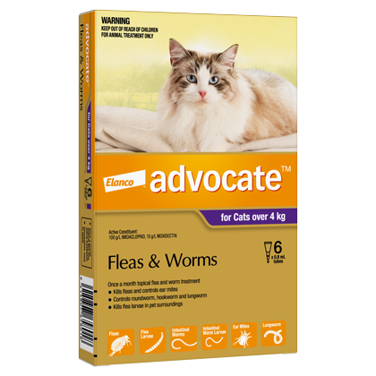 Advocate Cat