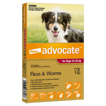 Advocate Dog