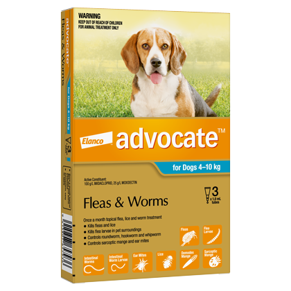 Advocate Dog