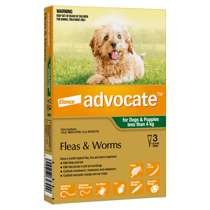 Advocate Dog