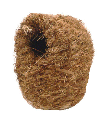 Coconut Nest Finch