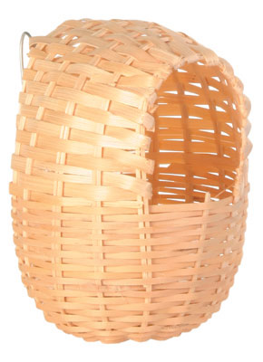 Cane Nest Finch
