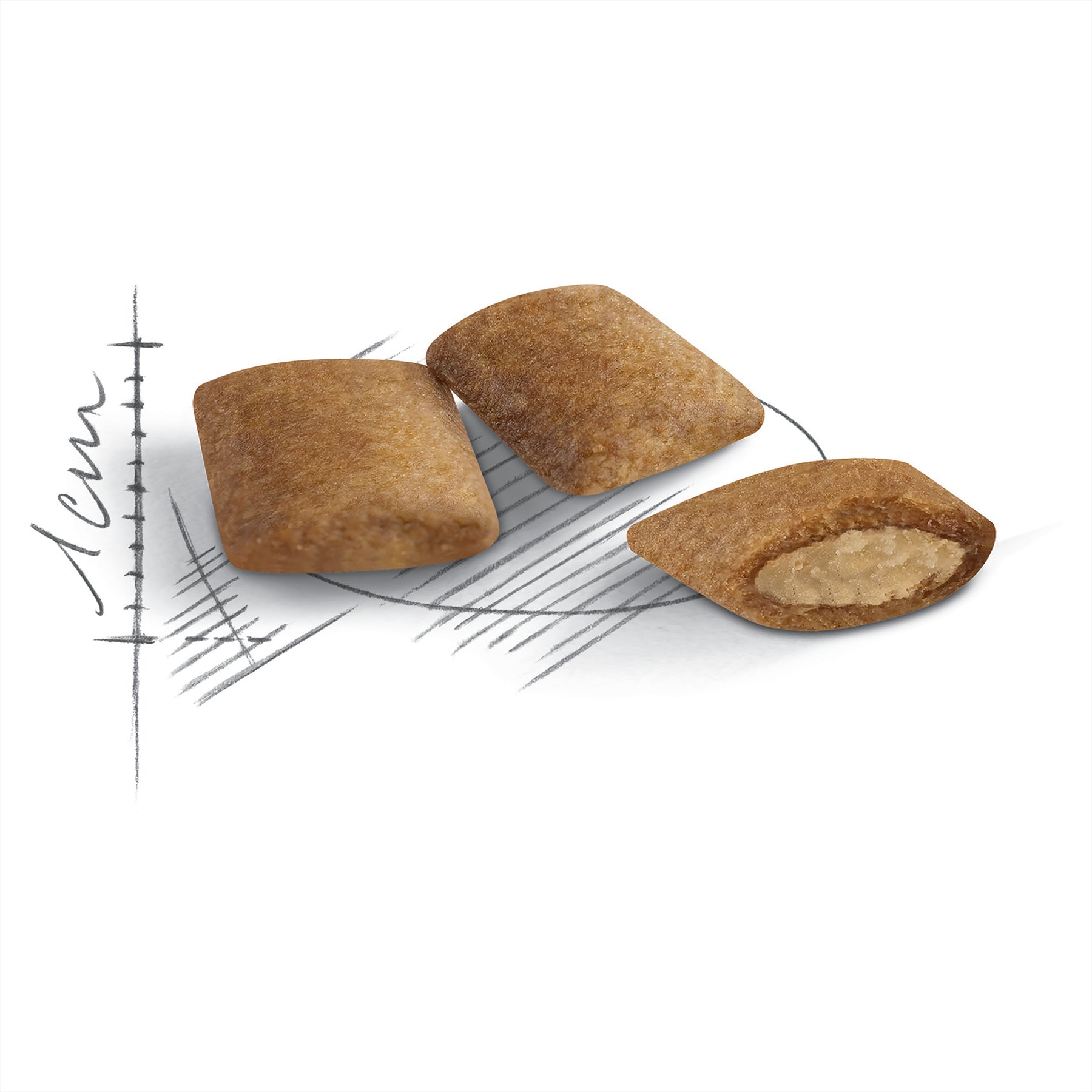 Royal Canin Cat Ageing 12 Plus